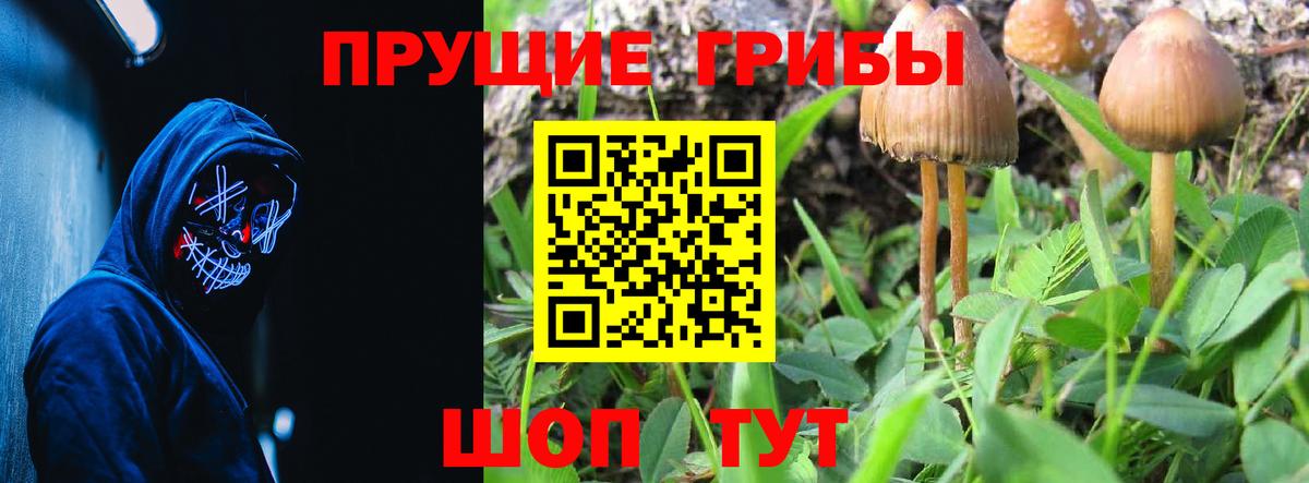 Псилоцибиновые грибы Cubensis Батайск